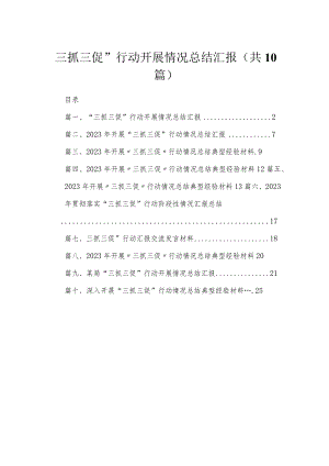 （10篇）“三抓三促”行动开展情况总结汇报范文.docx