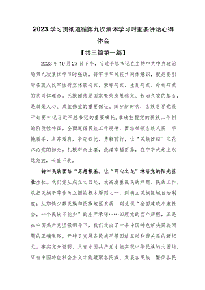 （3篇）2023学习贯彻遵循第九次集体学习时重要讲话心得体会.docx