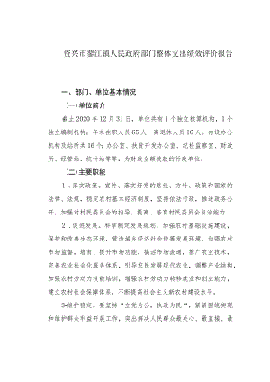 资兴市蓼江镇人民政府部门整体支出绩效评价报告.docx