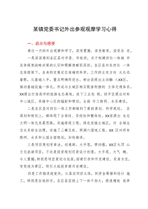 某镇党委书记外出参观观摩学习心得.docx