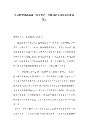 县应急管理局长在“安全生产”专题研讨交流会上的发言范文.docx