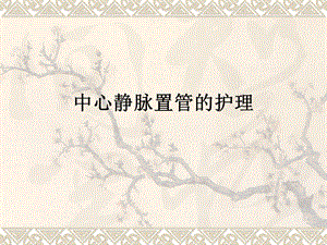 中心静脉置管的护理1.ppt