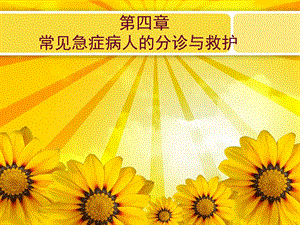 第四章常见急症病人的分诊与救护.ppt