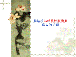 第五节 肠结核及结核性腹膜炎病人的护理.ppt