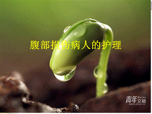 腹部损伤病人护理.ppt