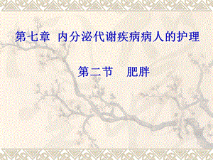 肥胖病人的护理.ppt