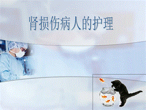 肾损伤病人的护理ppt.ppt