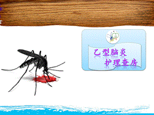 脑炎护理查房.ppt