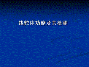 线粒体功能.ppt