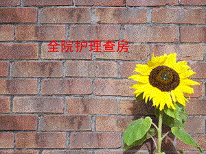 起搏器护理查房精要.ppt