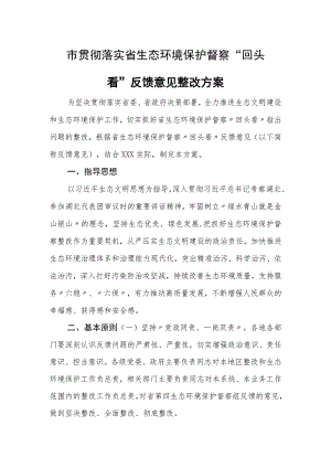 贯彻落实省生态环境保护督察 “回头看”反馈意见整改方案.docx