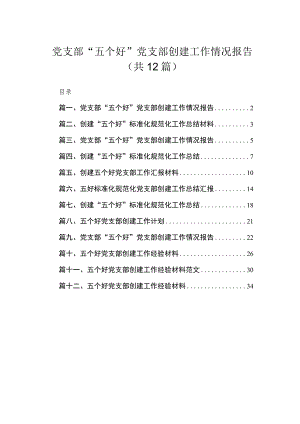 （12篇）党支部“五个好”党支部创建工作情况报告模板.docx