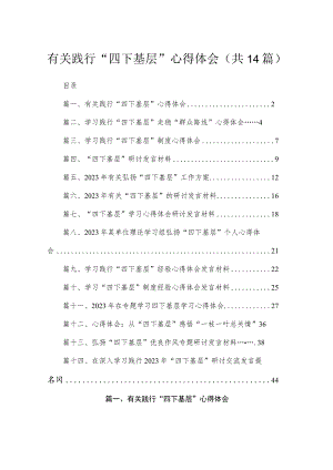 有关践行“四下基层”心得体会（共14篇）.docx