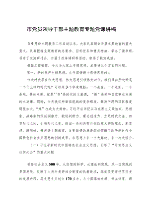 市党员领导干部主题教育专题党课讲稿.docx