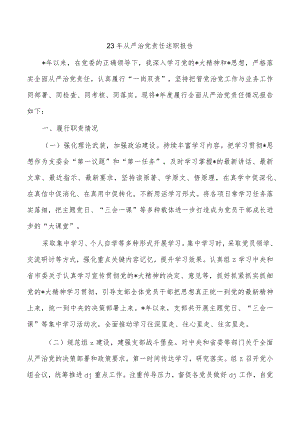 23年从严治党责任述职报告.docx