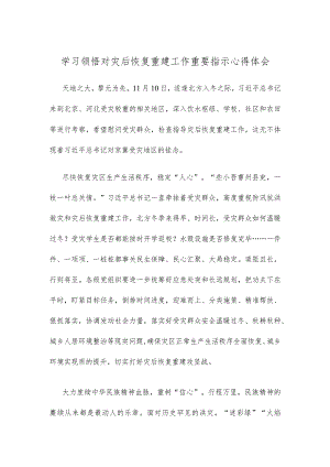 学习领悟对灾后恢复重建工作重要指示心得体会 .docx
