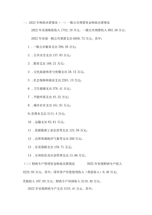 关于2022年镇财政决算和2023年上半年财政预算执行情况的报告.docx
