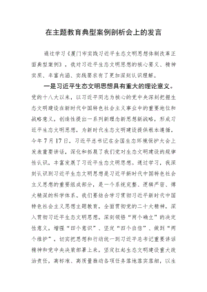 在主题教育典型案例剖析会上的发言.docx