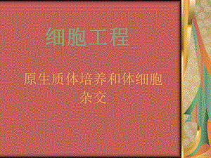 细胞工程PPT.ppt