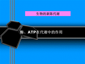 酶、ATP在代谢中的作用.ppt