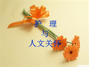 护理与人文关怀.ppt