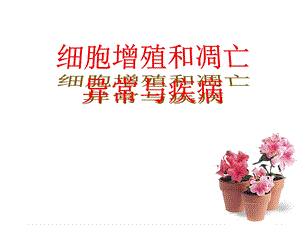 细胞增殖和凋亡异常与疾病.ppt