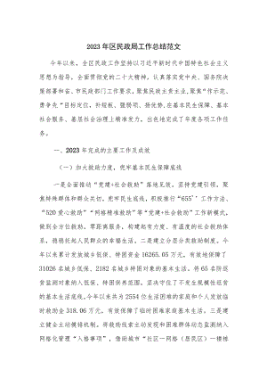 2023年区民政局工作总结范文.docx