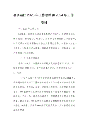 县供销社2023年工作总结和2024年工作安排.docx