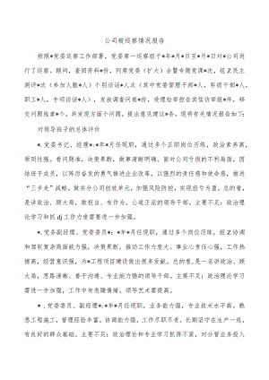 公司被巡察情况报告.docx