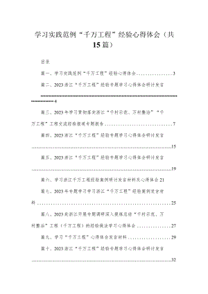 学习实践范例“千万工程”经验心得体会（共15篇）.docx