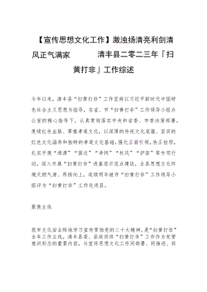 【宣传思想文化工作】激浊扬清亮利剑 清风正气满家园—— 清丰县二零二三年扫黄打非工作综述.docx