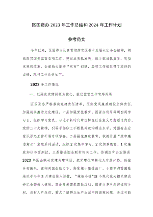 区国资办2023年工作总结和2024年工作计划参考范文.docx