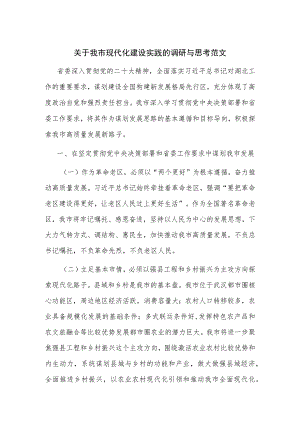 关于我市现代化建设实践的调研与思考范文.docx