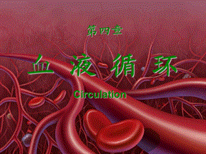 生理学血液循环教学课件PPT.ppt