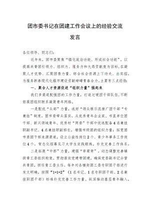 团市委书记在团建工作会议上的经验交流发言.docx