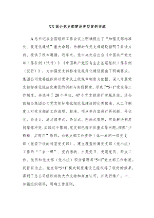 XX国企党支部建设典型案例交流.docx