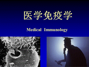 免疫器官和组织.ppt