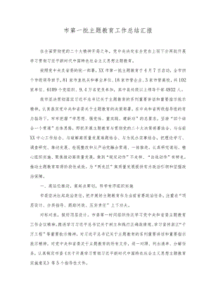 (2篇）2023年第一批主题教育工作总结汇报.docx