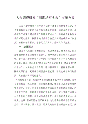 大兴调查研究“到现场写实去”实施方案 .docx