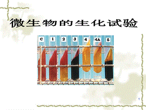 生化试验.ppt