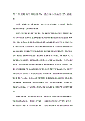 第二批主题教育专题党课：建强战斗堡垒 夯实发展根基 .docx