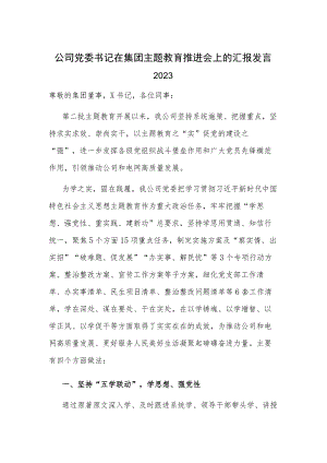 公司党委书记在集团主题教育推进会上的汇报发言2023.docx