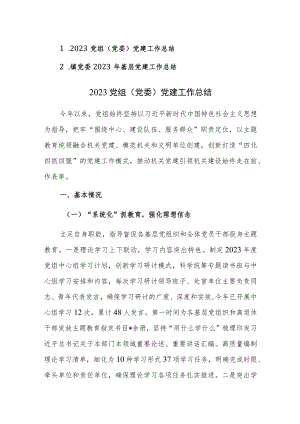 2023党组（党委）党建工作总结参考范文.docx