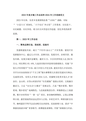 2023年某乡镇工作总结和2024年工作思路范文.docx