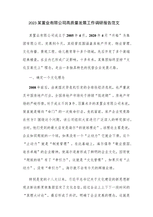 2023某置业有限公司高质量发展工作调研报告范文.docx