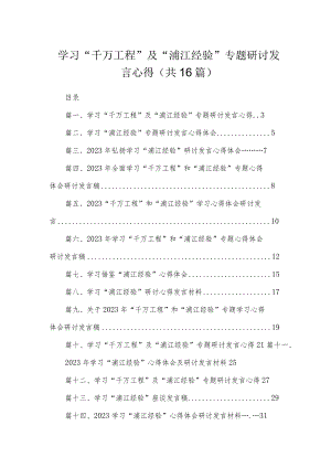 学习“千万工程”及“浦江经验”专题研讨发言心得(精选16篇模板).docx