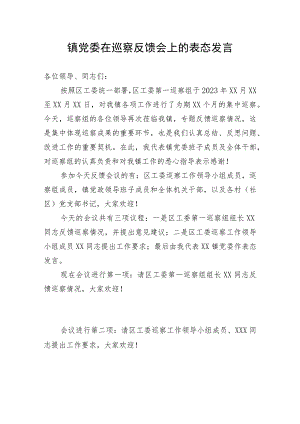 镇党委在巡察反馈会上的表态发言.docx