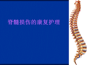 脊髓损伤的康复护理 护理版.ppt