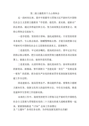 大学生学习第二批主题教育心得体会.docx