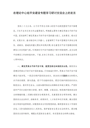 在理论中心组平安建设专题学习研讨交流会上的发言.docx